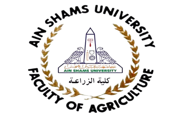 Ain Shams University